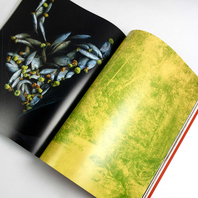 Arxipelag Magazine Issue 1 – GUDBERG NERGER