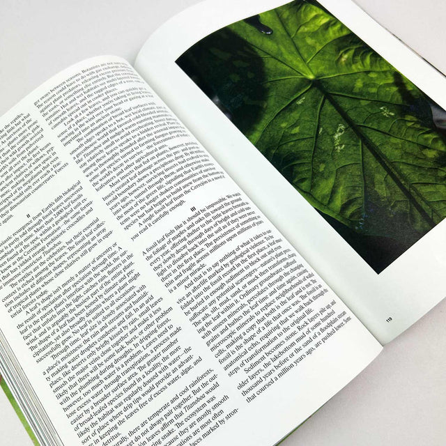 Atmos Volume 11 – Micro/Macro – GUDBERG NERGER