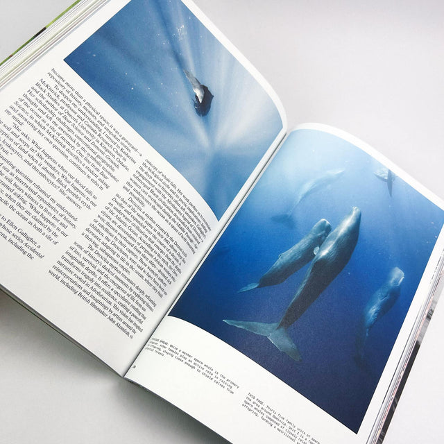 Atmos Volume 11 – Micro/Macro – GUDBERG NERGER