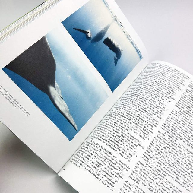 Atmos Volume 11 – Micro/Macro – GUDBERG NERGER