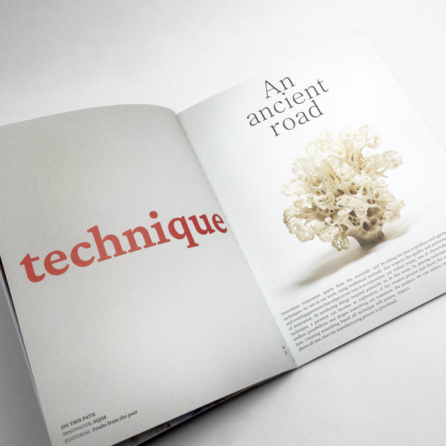 CaSE Magazine Issue 01 – Paths – GUDBERG NERGER
