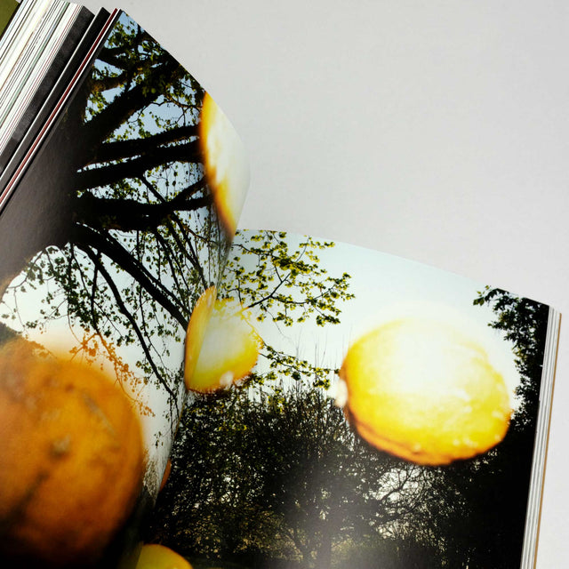doingbird Issue 19 – GUDBERG NERGER
