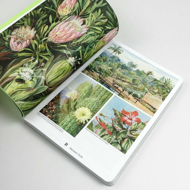 Fukt Magazine No. 22 – The Nature Issue