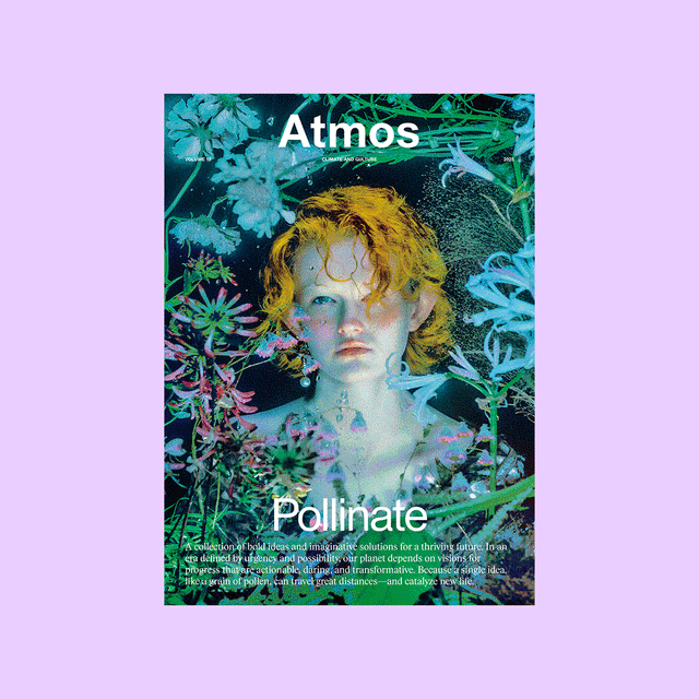 Atmos Volume 12 – Pollinate – GUDBERG NERGER
