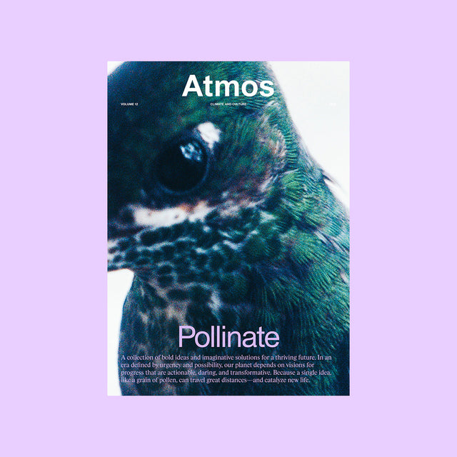 Atmos Volume 12 – Pollinate – GUDBERG NERGER