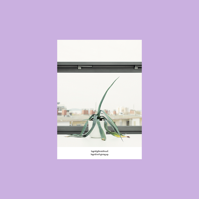 German Business Plants A5 Postcards – Ingrid – GUDBERG NERGER