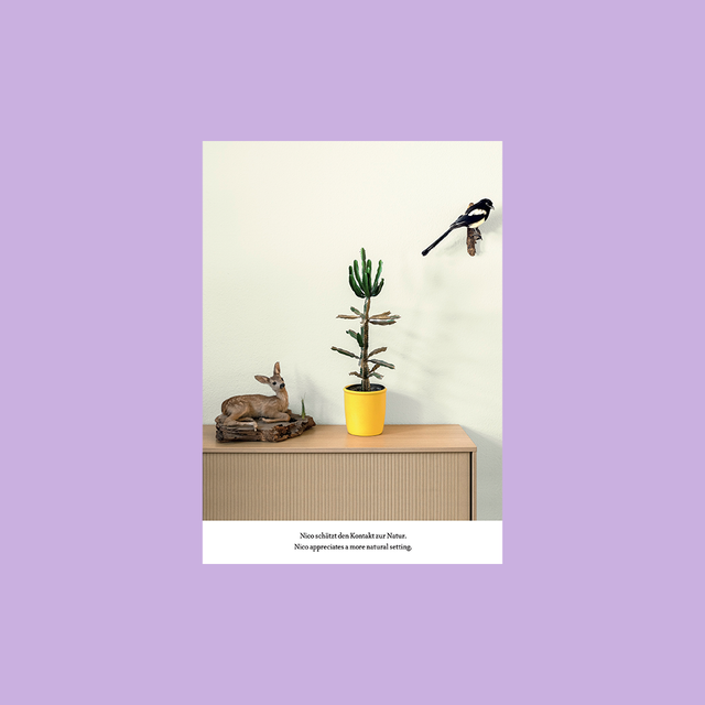German Business Plants A5 Postcards – Nico – GUDBERG NERGER