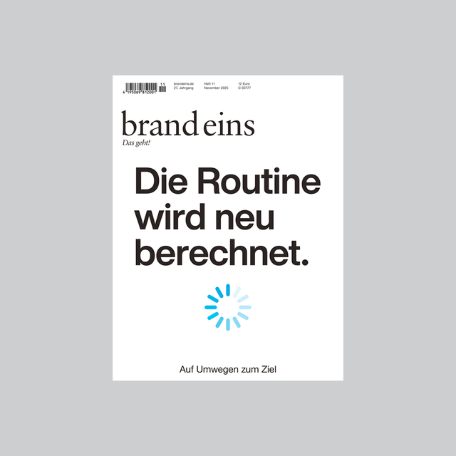 brand eins 11/2025 – Irrwege – GUDBERG NERGER