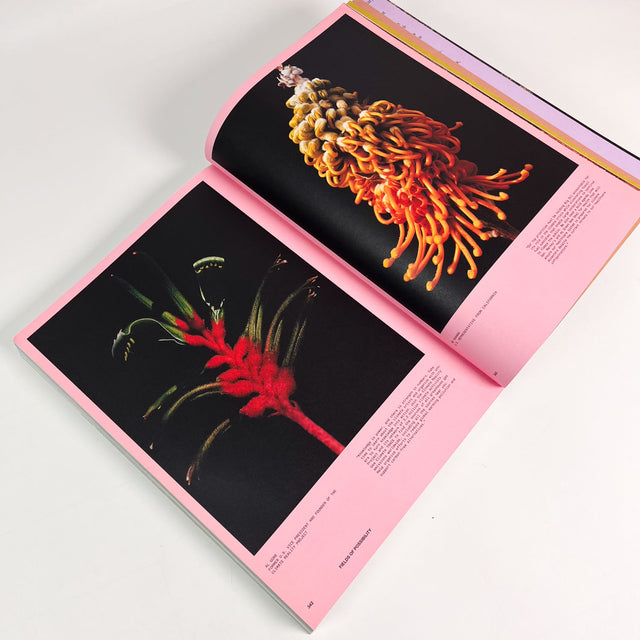 Atmos Volume 12 – Pollinate – GUDBERG NERGER