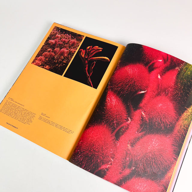 Atmos Volume 12 – Pollinate – GUDBERG NERGER