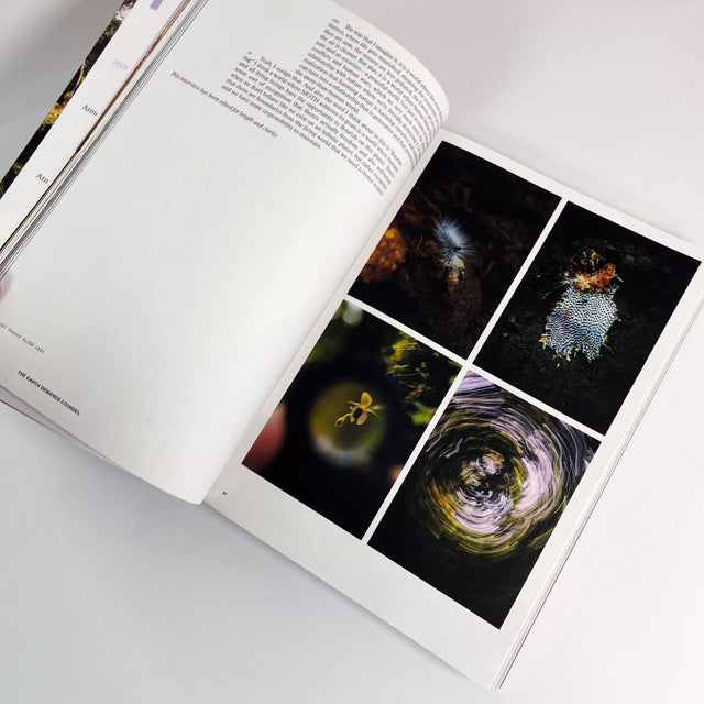 Atmos Volume 12 – Pollinate – GUDBERG NERGER