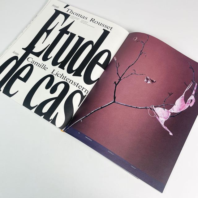 Common Language Issue 13