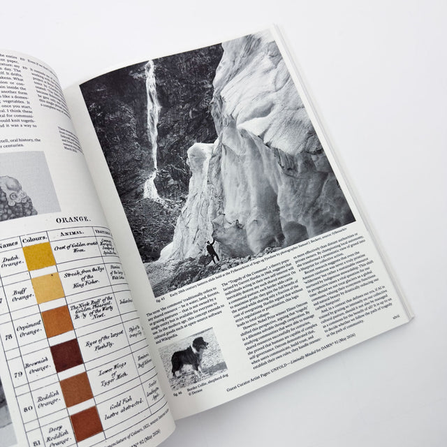 DAMNº Magazine Issue 92