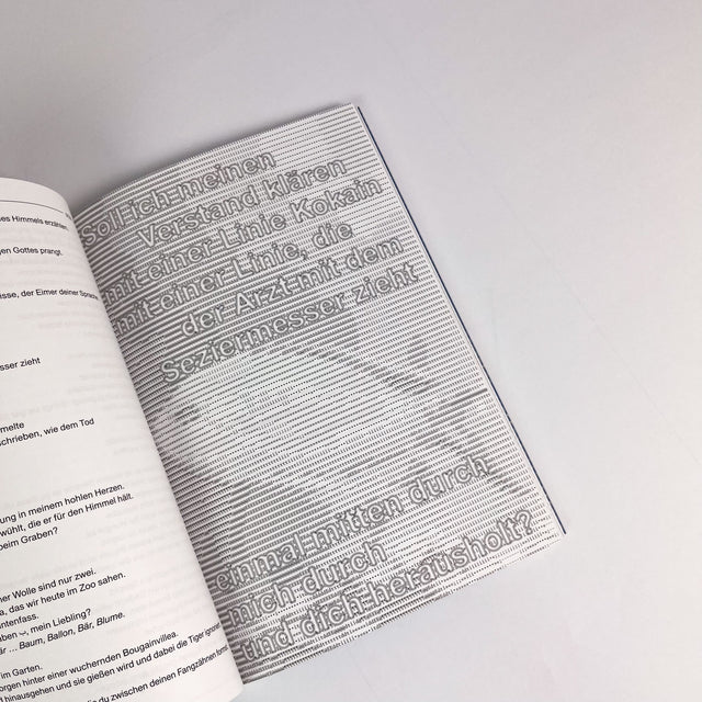 Edit Literaturzeitschrift Nr. 96 – Frühjahr 2026 – GUDBERG NERGER