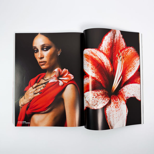 Re-Edition Issue 25
