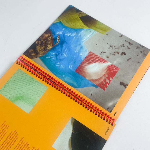 Synonym Issue 03 – Spices – GUDBERG NERGER Shop