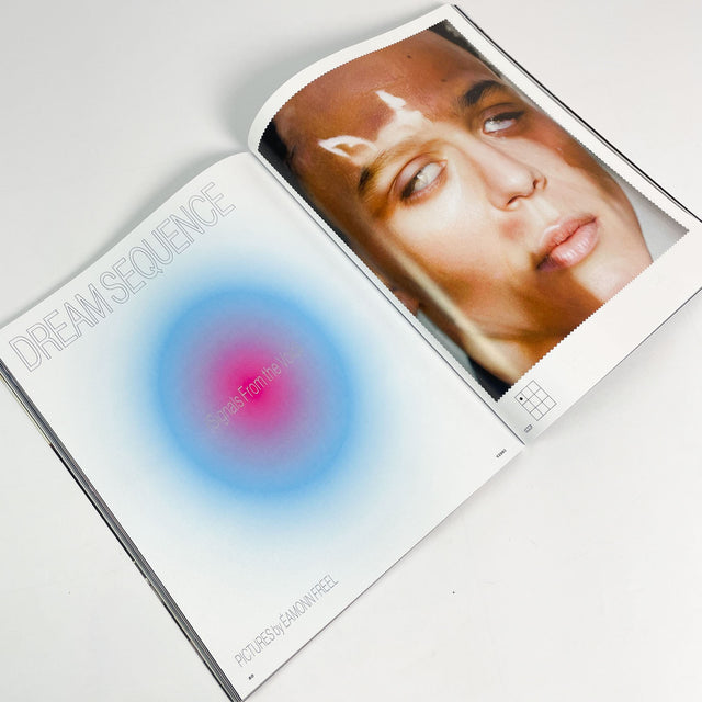 VICE Magazine – The Be Quiet & Drive Issue – Deftones – GUDBERG NERGER