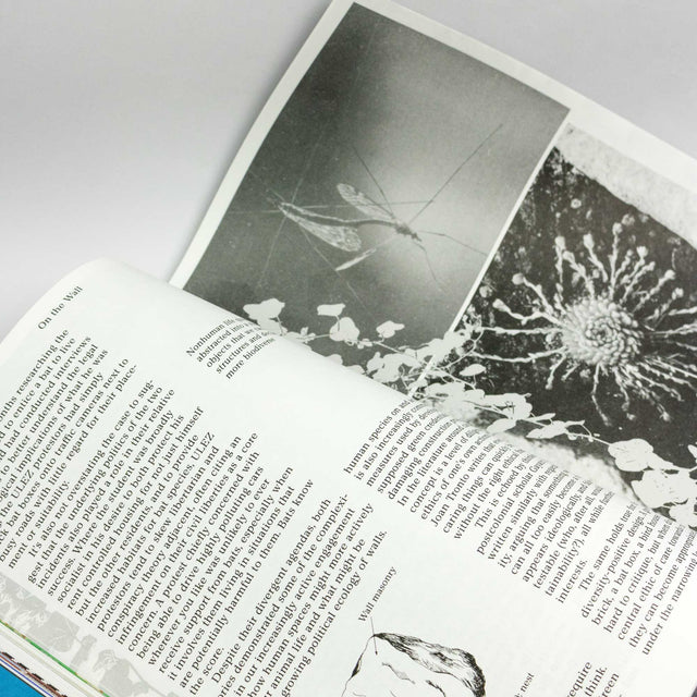 MacGuffin Issue 14 – The Wall – GUDBERG NERGER