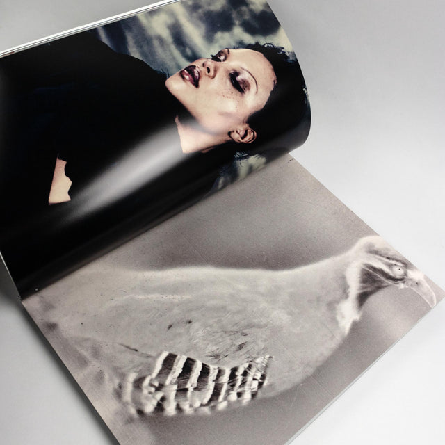 Shadowplay Issue 7 – GUDBERG NERGER