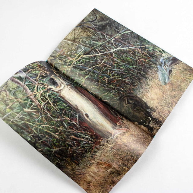solomiya № 4 – The Environmental Issue