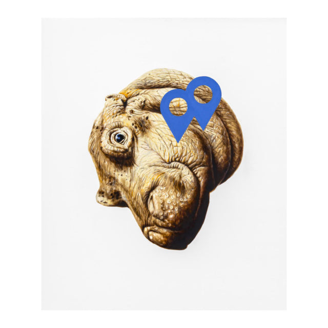 Svenja Maaß – hieroderdasein