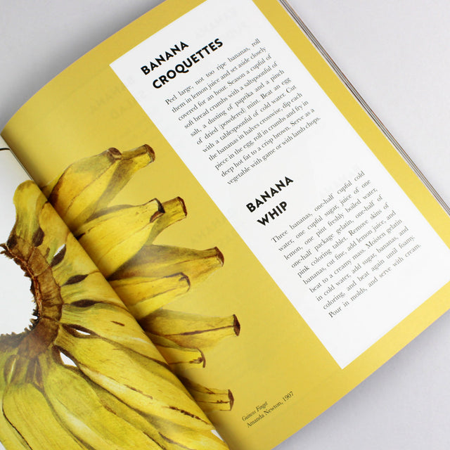 Eaten Magazine Issue 11: The Tropics – GUDBERG NERGER