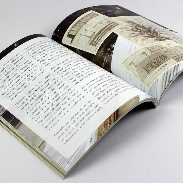 Eaten Magazine Issue 11: The Tropics – GUDBERG NERGER