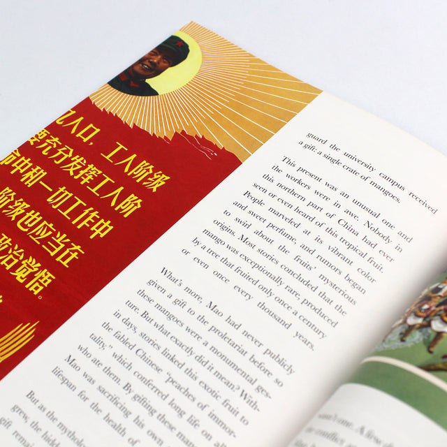 Eaten Magazine Issue 11: The Tropics – GUDBERG NERGER