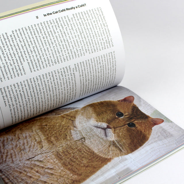 Standart Issue 22 – buy at GUDBERG NERGER Shop