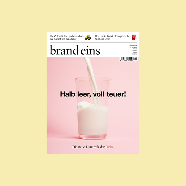brand eins 06/2022 – Preise – GUDBERG NERGER