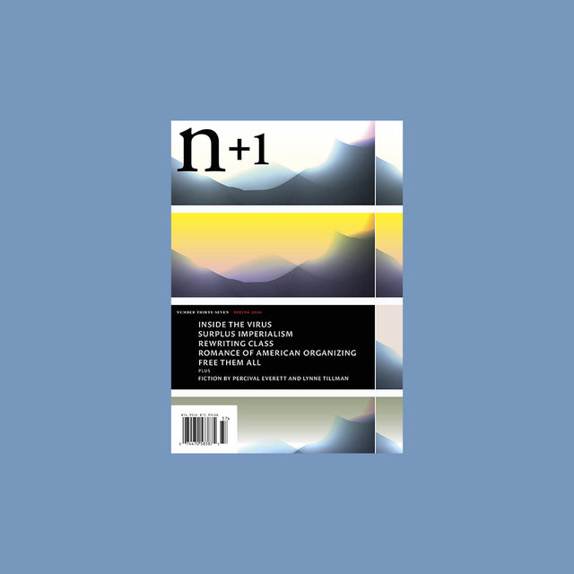 n+1 Number 37 – Transmission – Spring 2020 – GUDBERG NERGER
