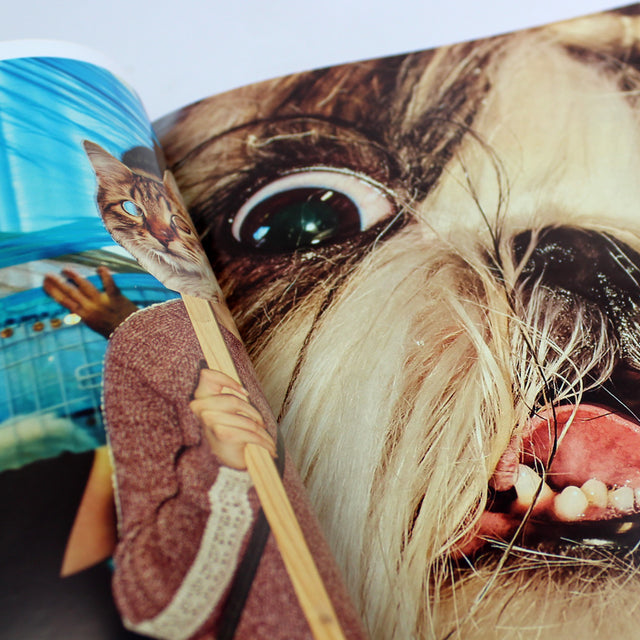 DOG Magazine Issue 7 – The Italian Greyhound – GUDBERG NERGER Shop