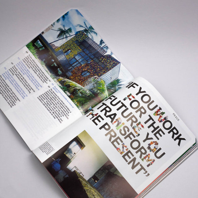 Pin-Up Issue 31 – Radical Optimism – GUDBERG NERGER Shop