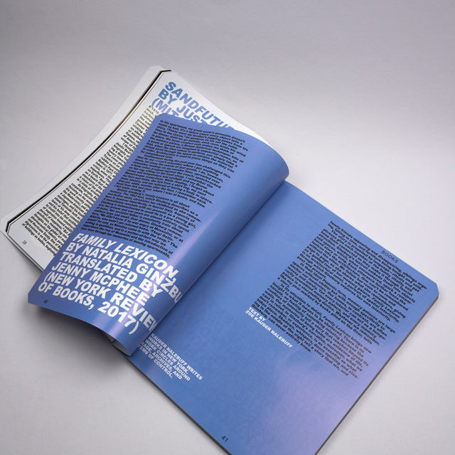 Pin-Up Issue 31 – Radical Optimism – GUDBERG NERGER Shop