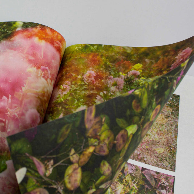 Pleasure Garden Issue 07