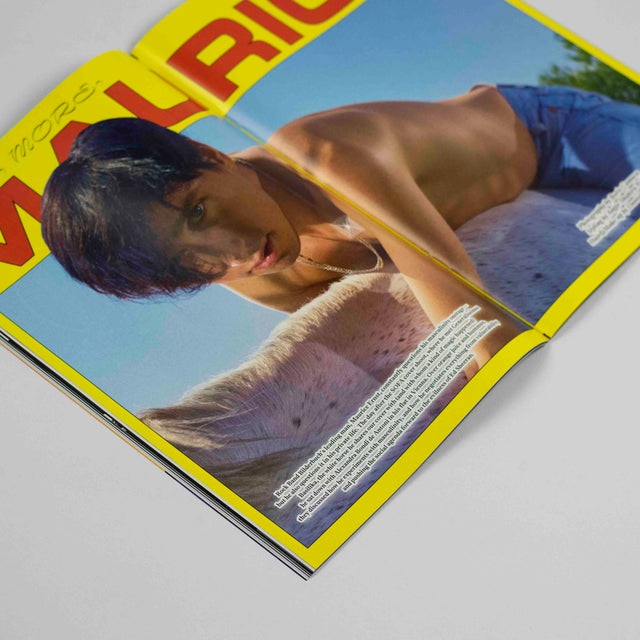 SOFA III – Masculinities