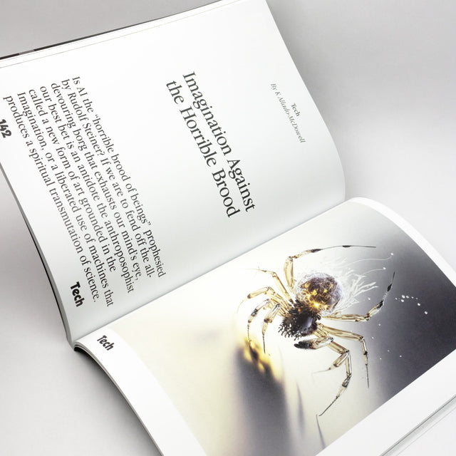 Spike Art Magazine #74 – After Beauty – GUDBERG NERGER