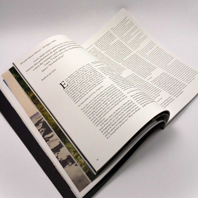 The Lissome Issue 3 – Cosmic Commons – GUDBERG NERGER