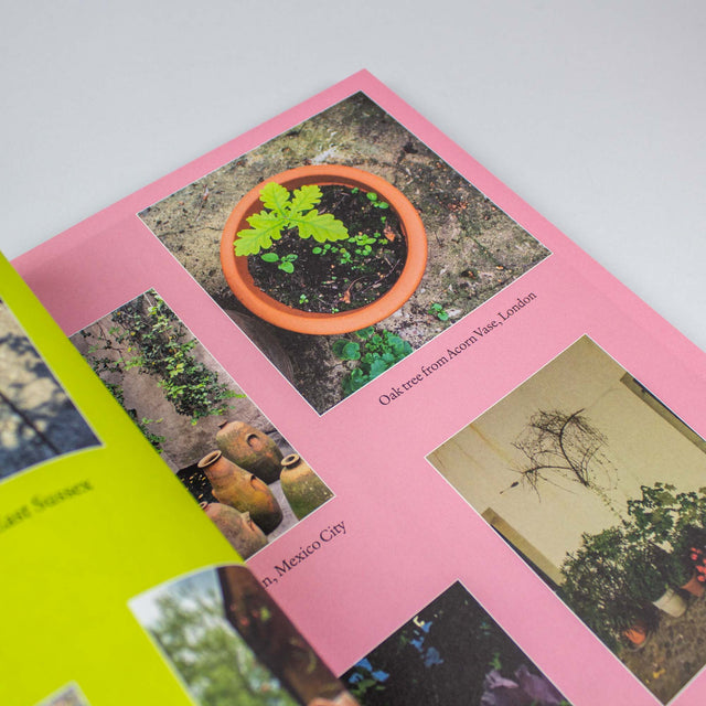 The Plant Issue 15