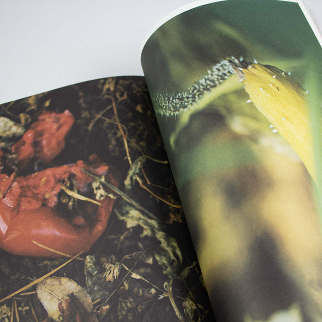 The Plant Issue 15
