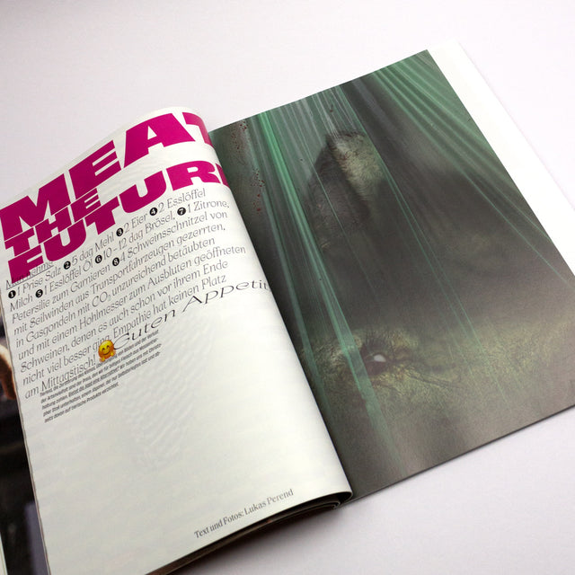 C/O VIENNA MAGAZINE No. 3. – The Consumer Issue – GUDBERG NERGER