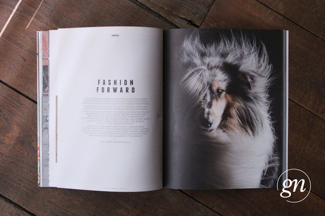 Four & Sons Issue 5 GUDBERG NERGER