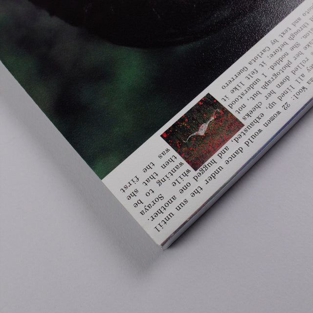Perdiz Issue 10 Gudberg Nerger