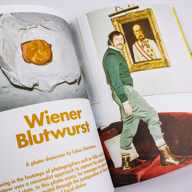Lost in Vienna Issue 5 Gudberg Nerger 03