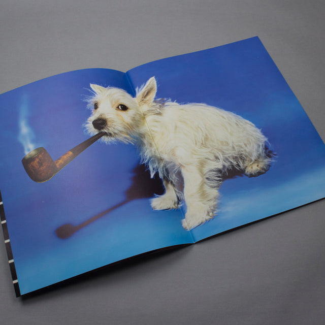 Toiletpaper Magazine 15 – GUDBERG NERGER