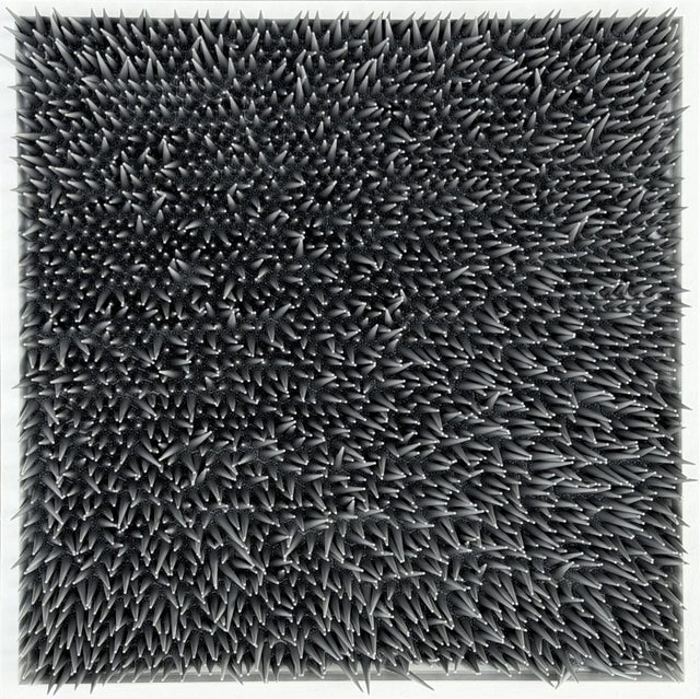 Bodo Niggemann – "Acanthous area"