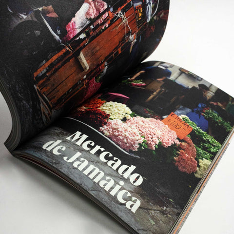  Fare Magazine – Issue 14: Mexico City – GUDBERG NERGER