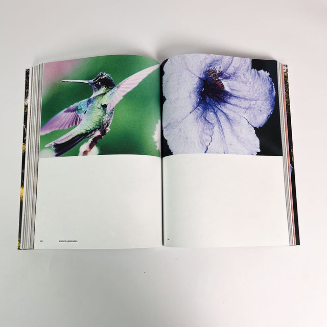 Atmos Volume 12 – Pollinate – GUDBERG NERGER