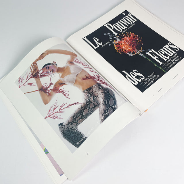 Common Language Issue 13