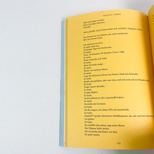 Edit Literaturzeitschrift Nr. 95